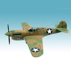 Warhawk Texas Longhorn P-40